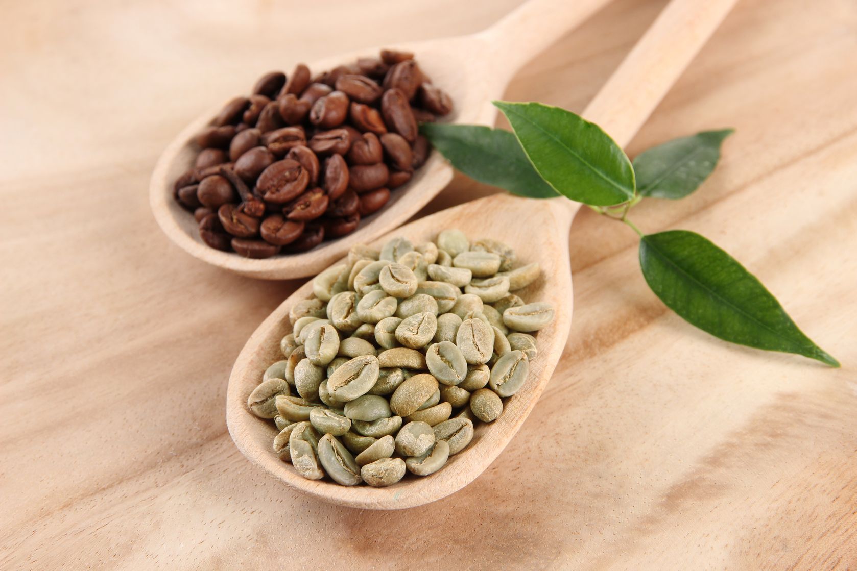 Caffè verde: come si prepara e come assumerlo